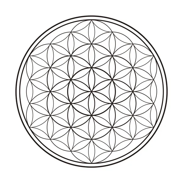 Flower of Life — Stock Vector