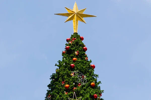 Hvězdný Ozdoba Klade Vrcholu Velkého Vánočního Stromečku Barevnými Ozdoby Další — Stock fotografie