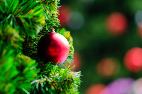 Červená Cetka Visí Vánočním Stromečku Bokeh Pozadí Další Větší Vánoční — Stock fotografie