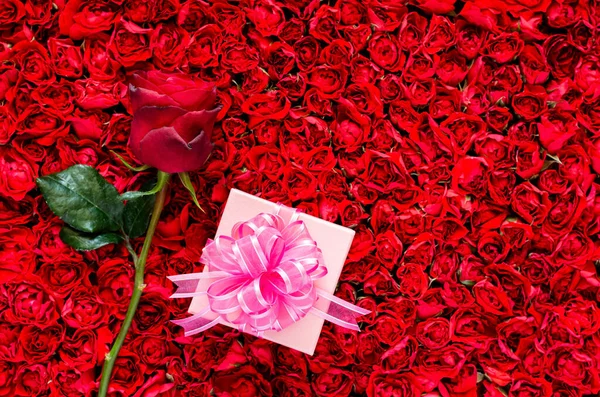 Rose Avec Coffret Cadeau Mis Sur Fond Roses Rouges Pour — Photo