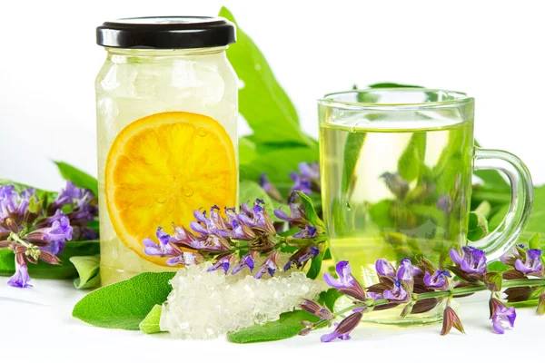 Édes gyógynövény tea és naturopathy — Stock Fotó