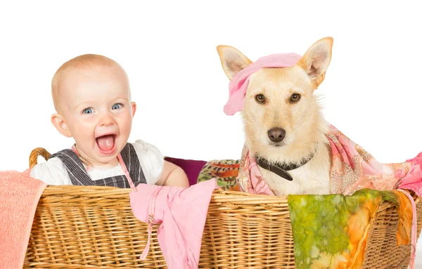 Baba és kutya a mosodai-kosárból Jogdíjmentes Stock Képek