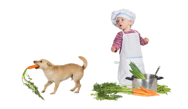 Cute little baby chef and thieving dog — Stock Photo, Image