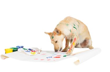 Dog painting with its paw clipart