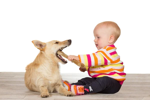 Bebê e terrier com osso mastigável — Fotografia de Stock
