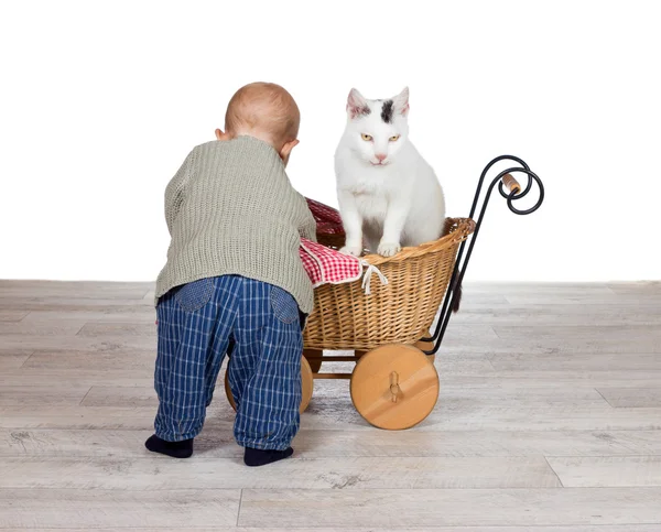 Baby geven een kat een ritje in een kinderwagen — Stockfoto