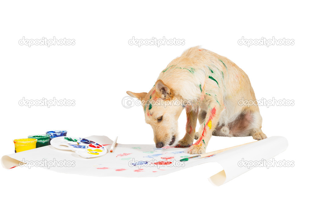 Dog Eating Paint