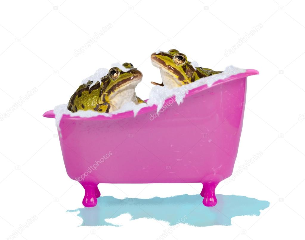 bubble bath frog