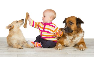 Two dogs flanking a cute baby clipart