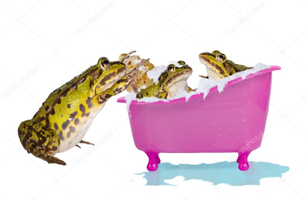 bubble frog bath
