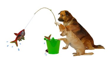 Fishing Dogs clipart