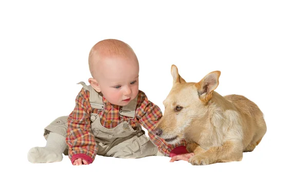 Jack Russel terrier et bébé — Photo