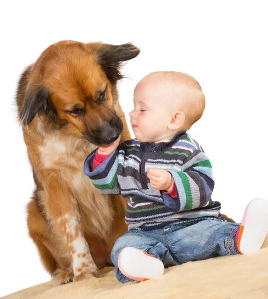 Cão lambendo um bebê bonito — Fotografia de Stock