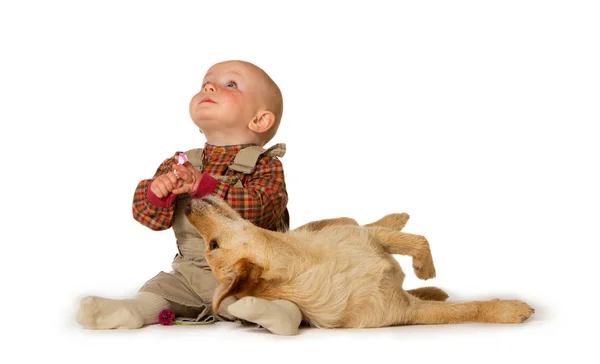 Jeune bébé jouant avec un chien — Photo