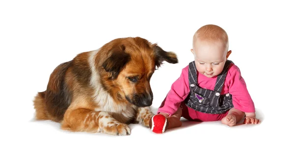 Barn och hund spelar — Stockfoto