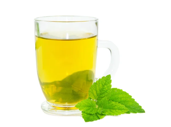 Glass of lemon balm tisane — Stock Photo, Image