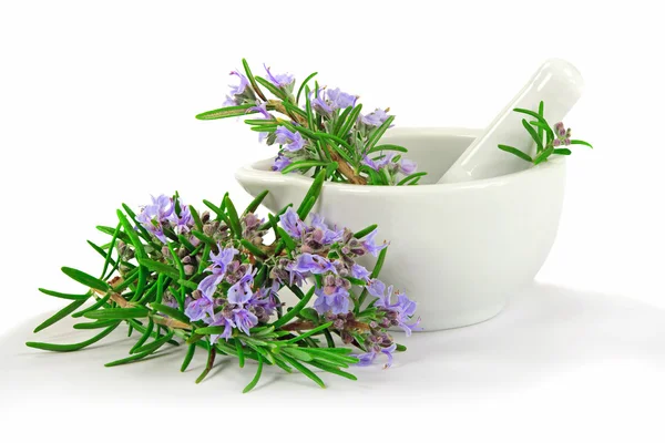 Rosemary para Cozinha ou Cura — Fotografia de Stock