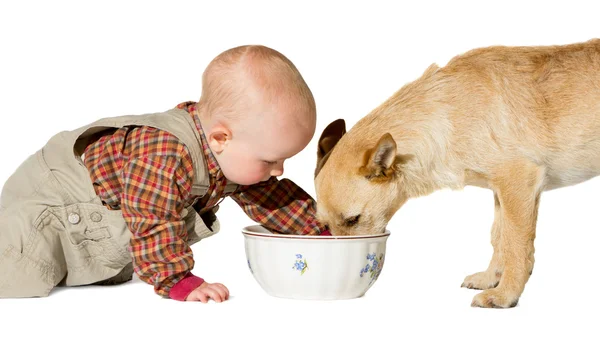 Baba és kutya Stock Kép