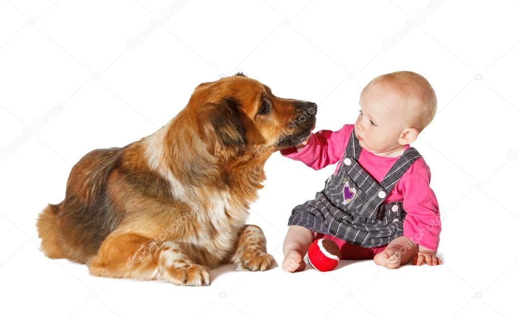 Baby and Dog playing