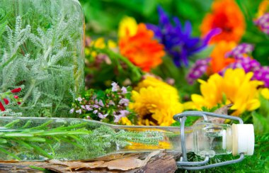 taze otlar bitkisel ilaçlar için