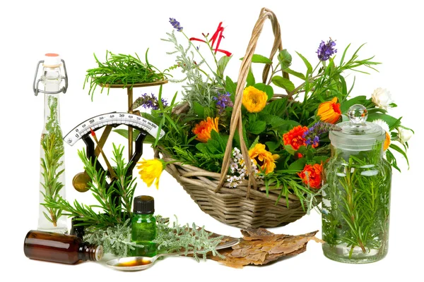 Herbal Medicine — Stock Photo, Image