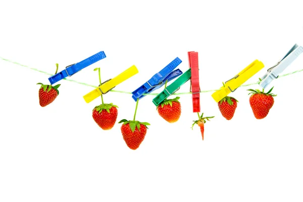 Fresh Strawberrys — Stock Photo, Image