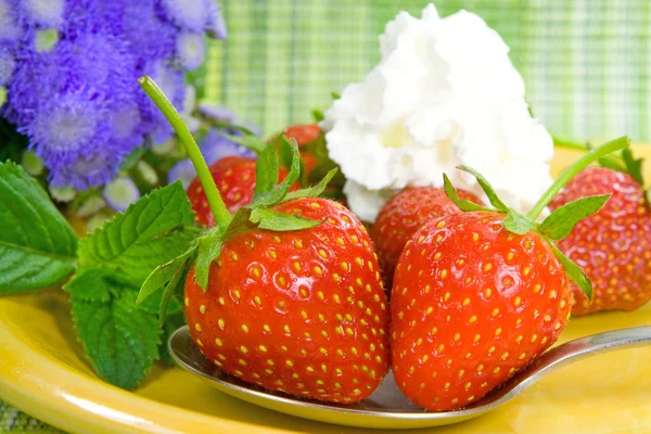 Fresh Strawberrys — Stock Photo, Image