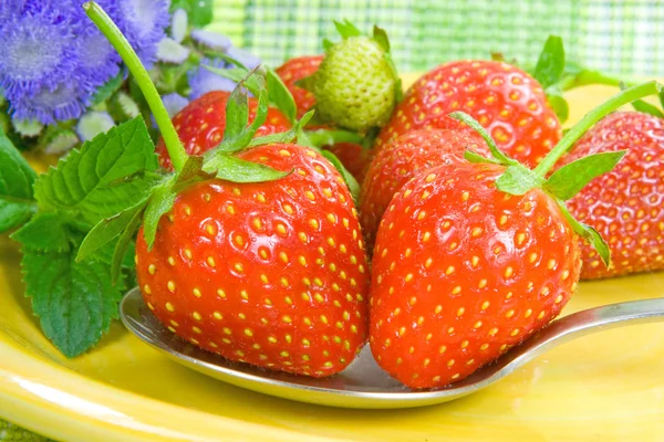 Fresh Strawberrys — Stock Photo, Image