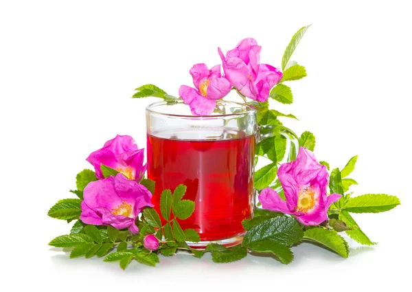 Rosa canina blommor med en herbal infusion — Stockfoto