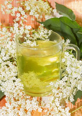 yaşlı veya mürver çiçeği bitkisel infüzyon