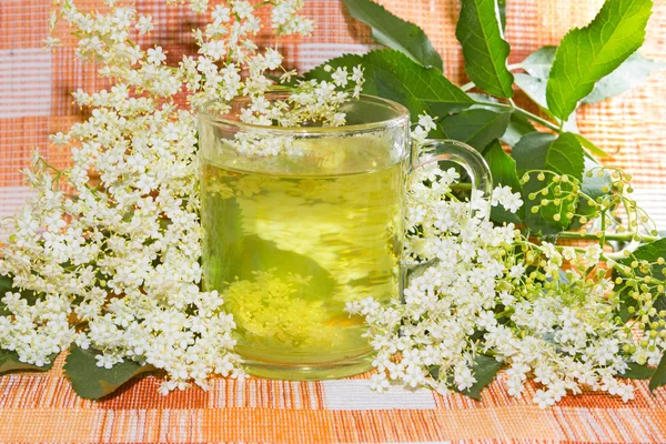 Infusión a base de plantas de flores de saúco o de saúco — Foto de Stock