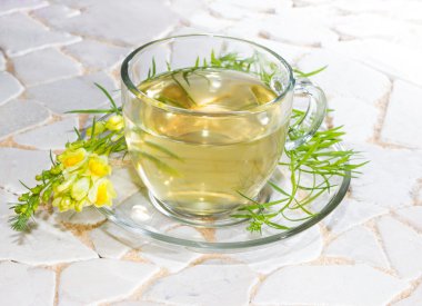 Cup of yellopw toadflax infusion clipart