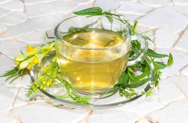 Kopp Gulsporre och verbena infusion — Stockfoto