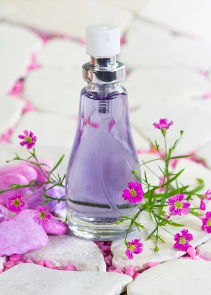 Bonita garrafa de perfume — Fotografia de Stock