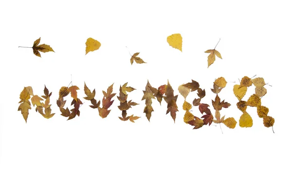 Word November Laid Out Multicolored Autumn Leaves White Background — Stock Photo, Image