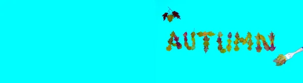 Sonbahar kelimesi mavi bir arka planda yapraklarla yazılır.