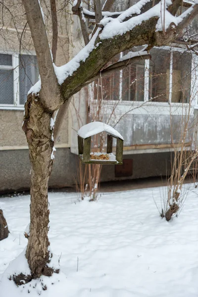 Wood bird feeder weighs on tree in winter — 图库照片