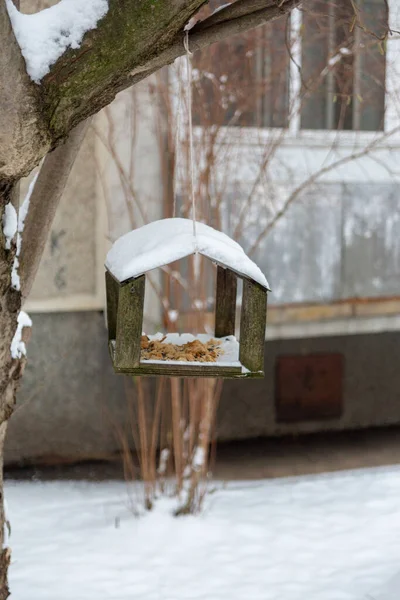Wood bird feeder weighs on tree in winter — Fotografia de Stock
