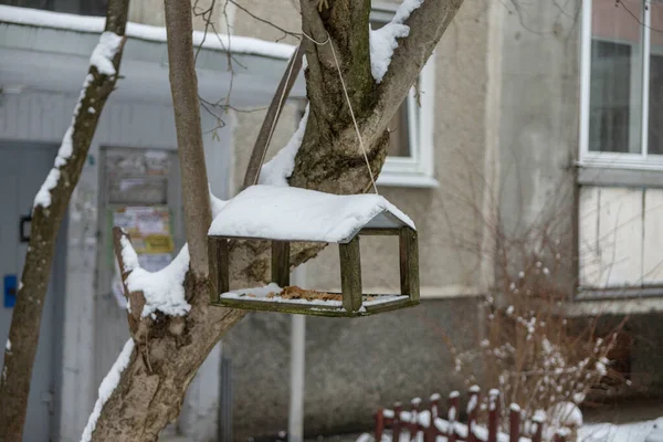 Alimentador de aves de madeira pesa na árvore no inverno — Fotografia de Stock