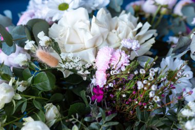 Mavi arka planda bir buket çiçek. Çiçek açan.