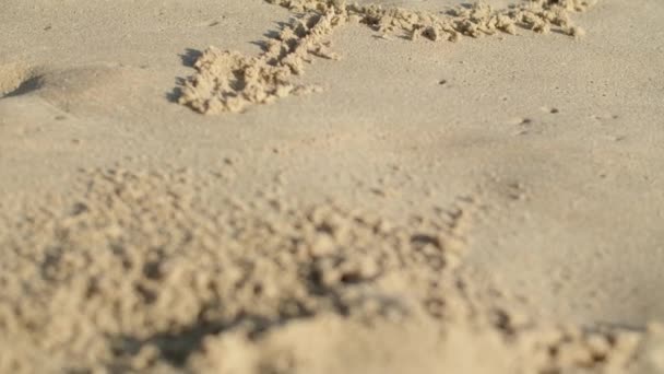 Gros plan de filles dessin à la main coeur avec flèche dans le sable — Video