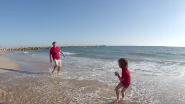 Largo tiro de niño luchando por diversión con la familia en la costa — Vídeos de Stock