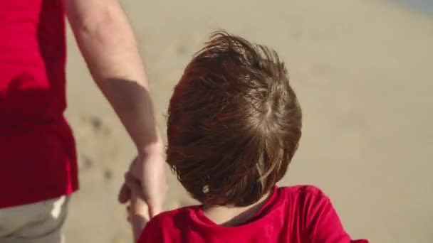Крупный план отца, держащего сыновей за руку и идущего по пляжу — стоковое видео