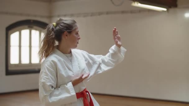Medium shot of martial artsist standing in self defence pose — Stock Video