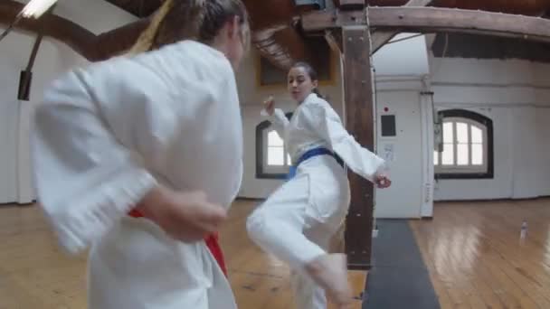 Tiro de mão de menina praticando chutes de karatê no ginásio — Vídeo de Stock