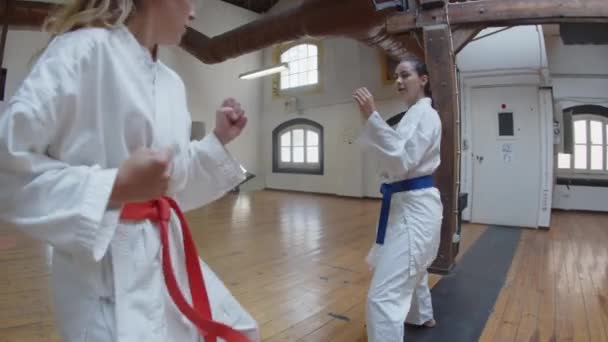 Handheld shot wesołych dziewcząt ćwiczących karate beats w siłowni — Wideo stockowe