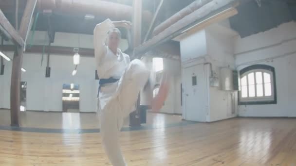 Zaměřená dívka demonstrující pohyby karate ve zkušebně — Stock video