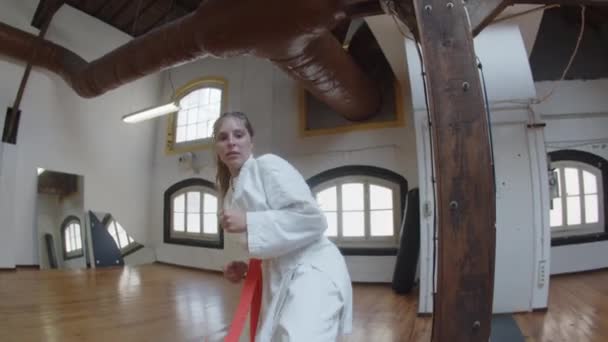 Vooraanzicht van martial artsist ponsen en schoppen op camera — Stockvideo