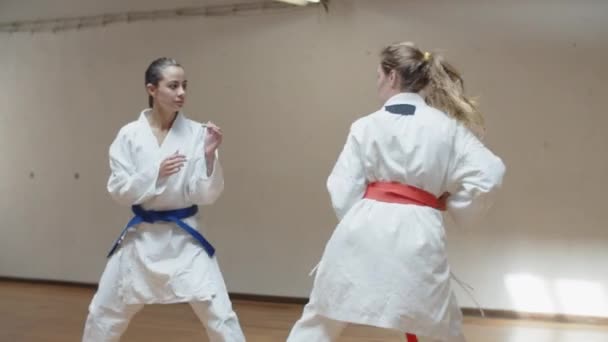 Longa foto de meninas focadas praticando movimentos de karatê no ginásio — Vídeo de Stock