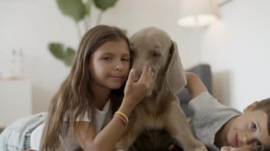 Düşünceli çocuk yerde yatıyor ve evde büyük köpeğe sarılıyor.